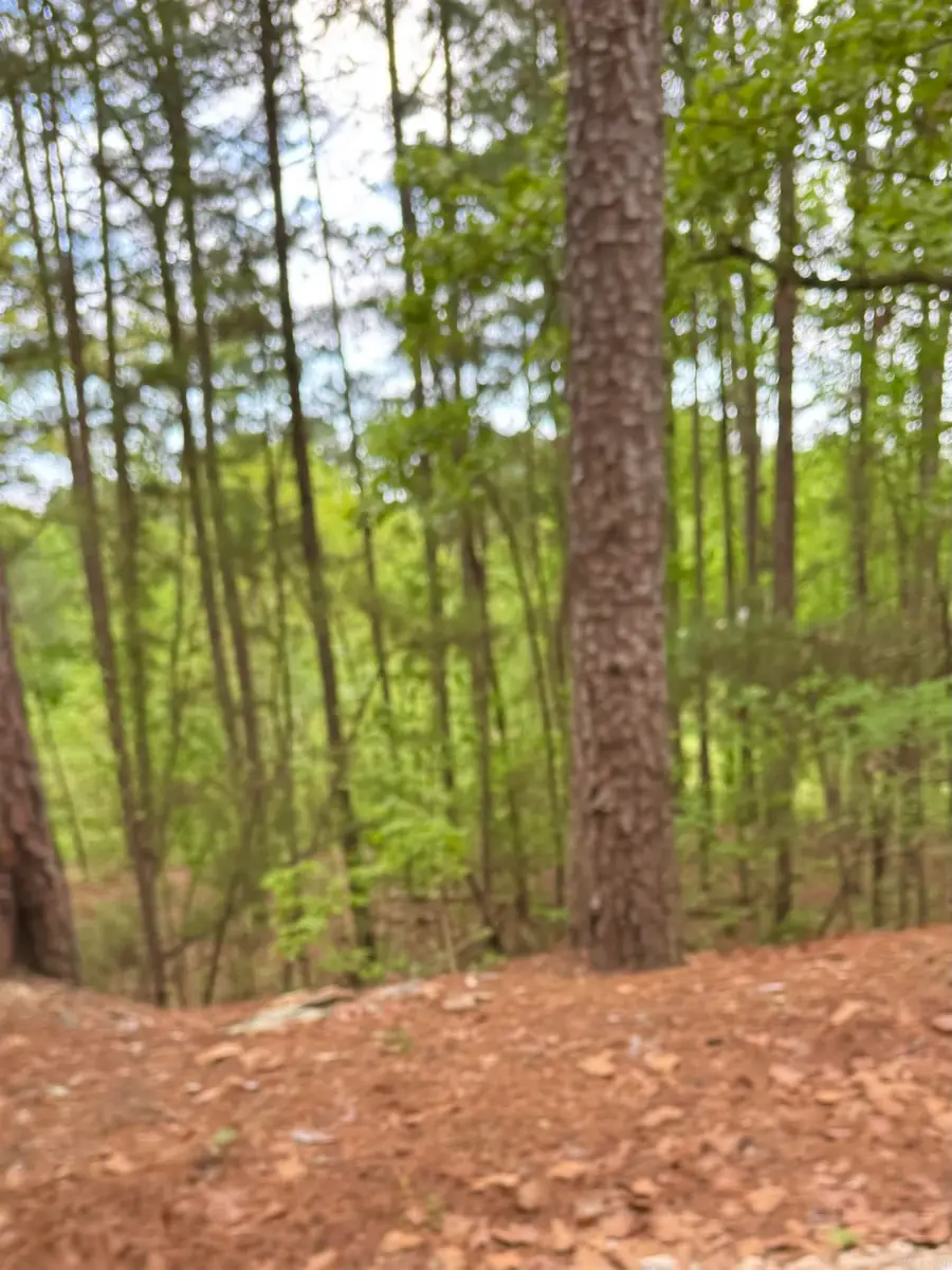 Address Withheld By Seller, Hot Springs, AR 71913 - #2