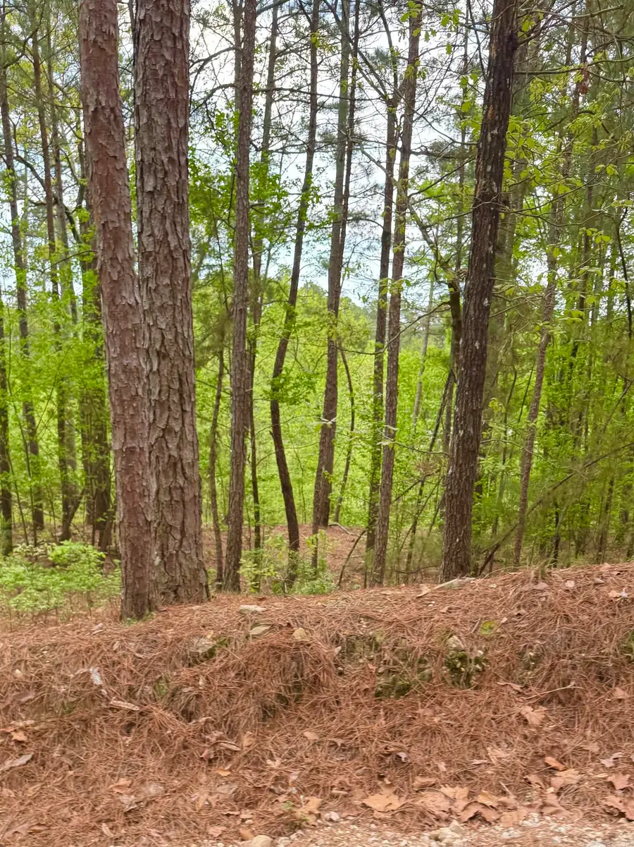 Address Withheld By Seller, Hot Springs, AR 71913 - #3