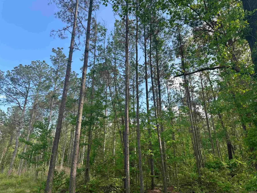 Hwy 67, Malvern, AR 72104 - #3