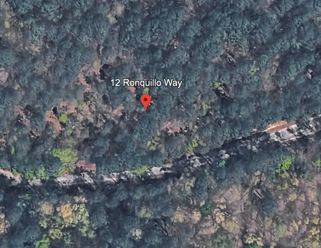 12 Ronquillo Way, Hot Springs Village, AR 71909 - #1