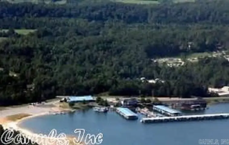 9 Halago Place, Hot Springs Village, AR 71909 - #3