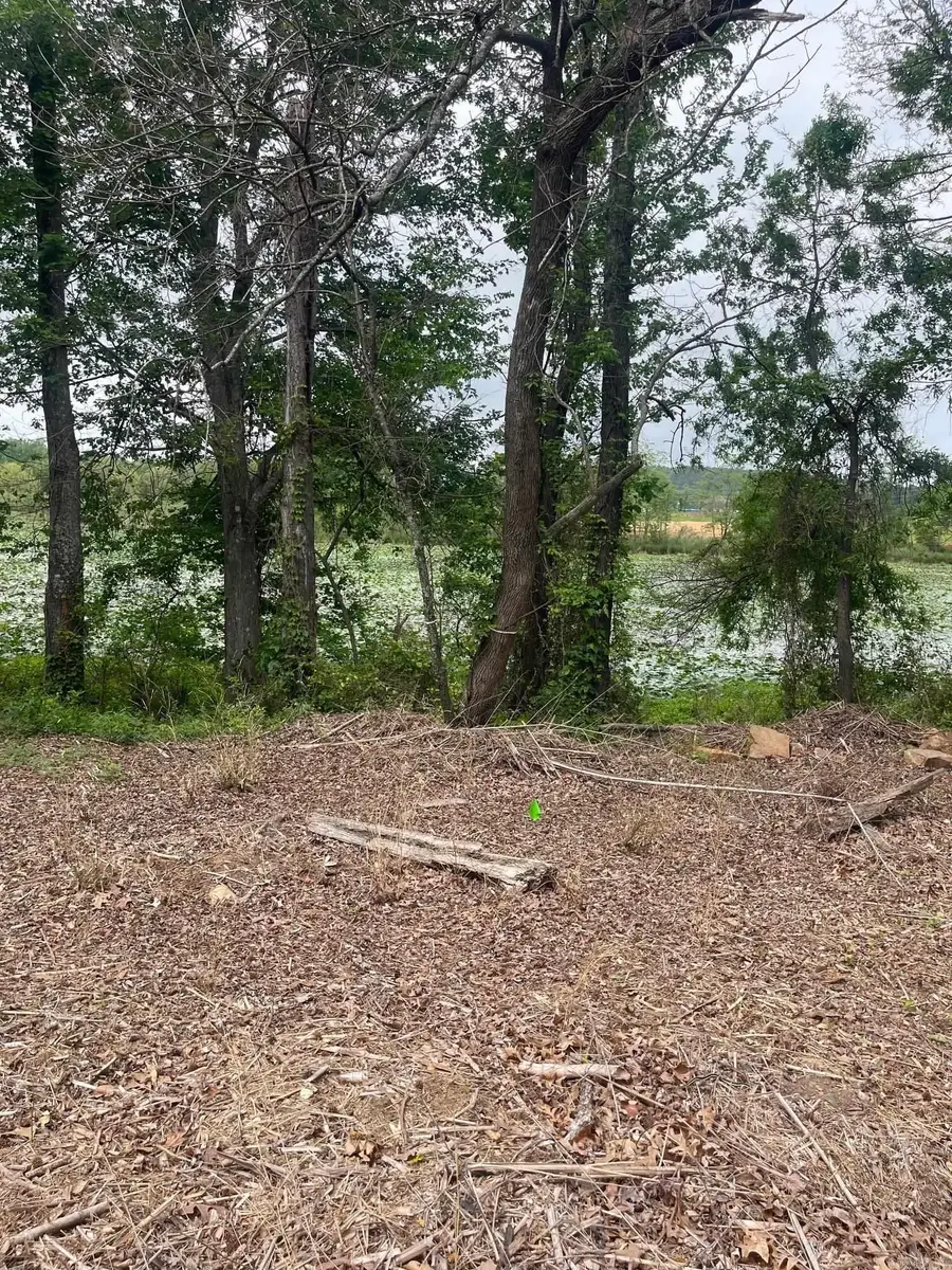 30 Dam Road, Mayflower, AR 72106 - #2