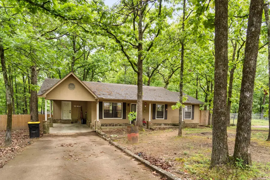 3 Chipmunk Drive, Conway, AR 72032 - #2