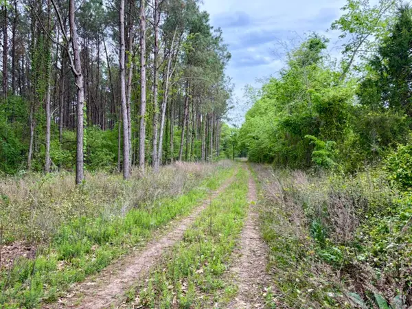 Address Withheld By Seller, Dardanelle, AR 72834