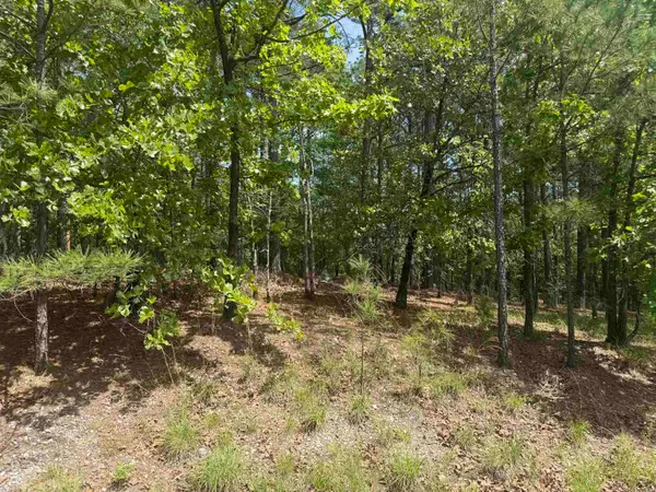 53 Altiplano Circle, Hot Springs Village, AR 71909