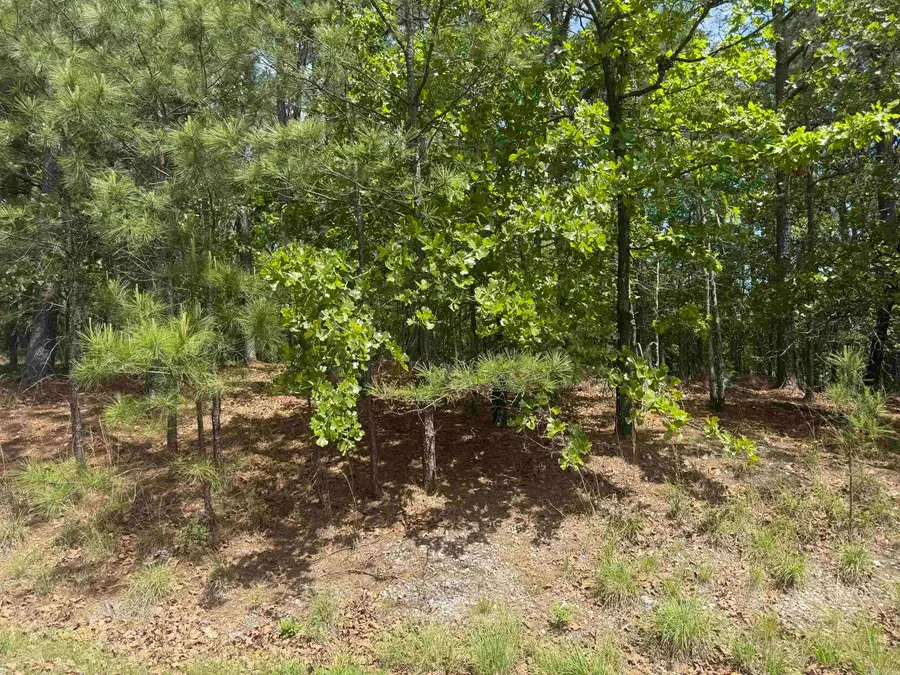 53 Altiplano Circle, Hot Springs Village, AR 71909 - #2