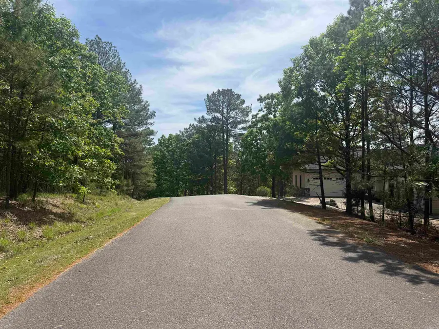 53 Altiplano Circle, Hot Springs Village, AR 71909 - #3