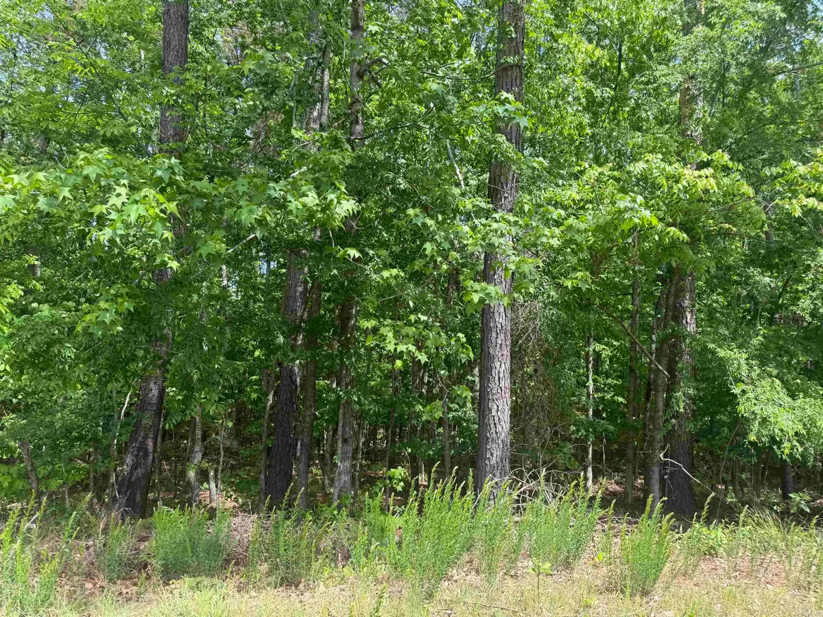 33 Gusta Lane, Hot Springs Village, AR 71909 - #1