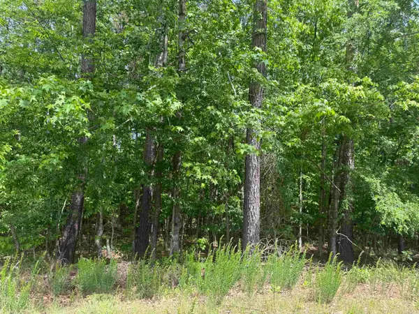 33 Gusta Lane, Hot Springs Village, AR 71909