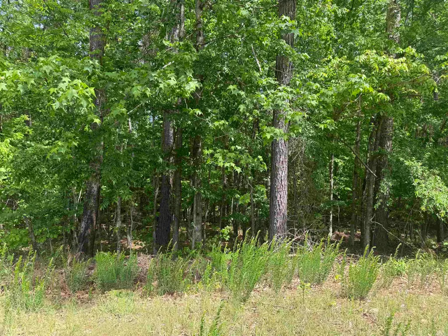 33 Gusta Lane, Hot Springs Village, AR 71909 - #3