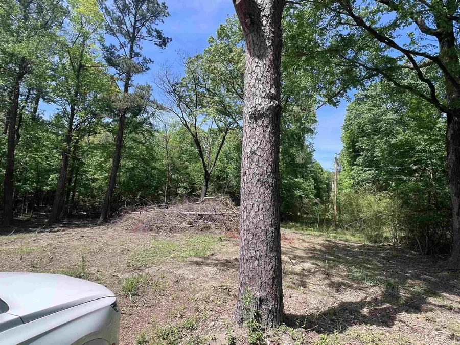 0 Kanis Road, Paron, AR 72122 - #3