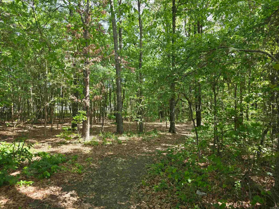 0 15th Ave, Paragould, AR 72450 - #2