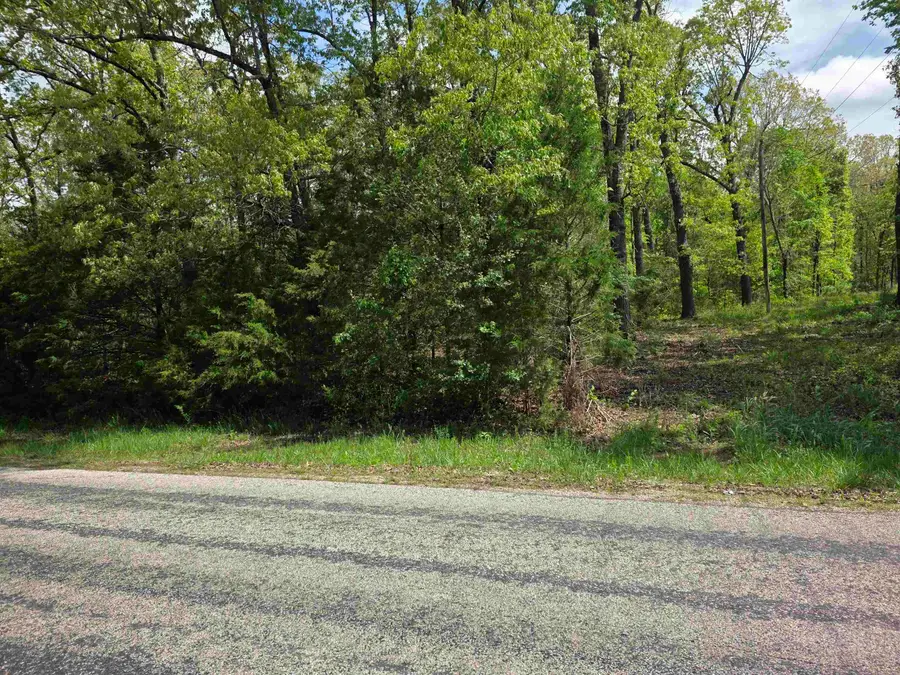 704 E Moonstone Boulevard, Horseshoe Bend, AR 72512 - #2