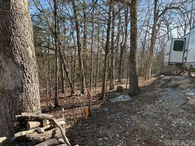 143 Mc 2073, Lead Hill, AR 72644 - #3