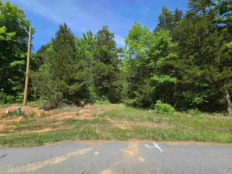 20 Della Carter Drive, Conway, AR 72032 - #3