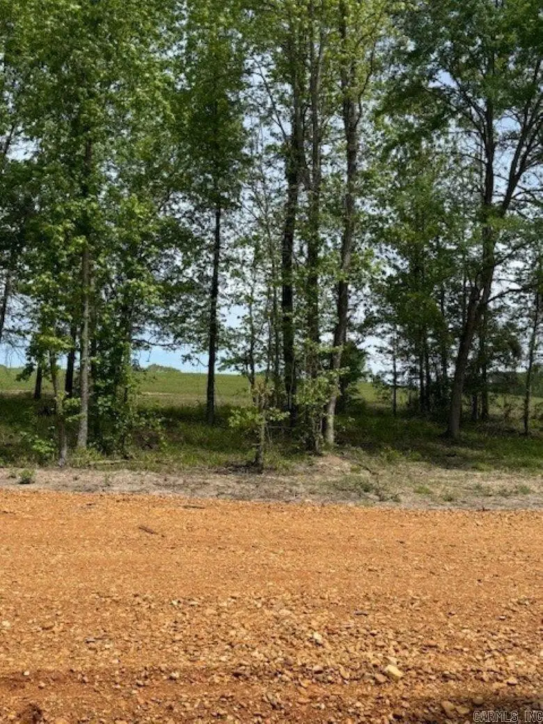TBD Maddox Court, Arkadelphia, AR 71923 - #3