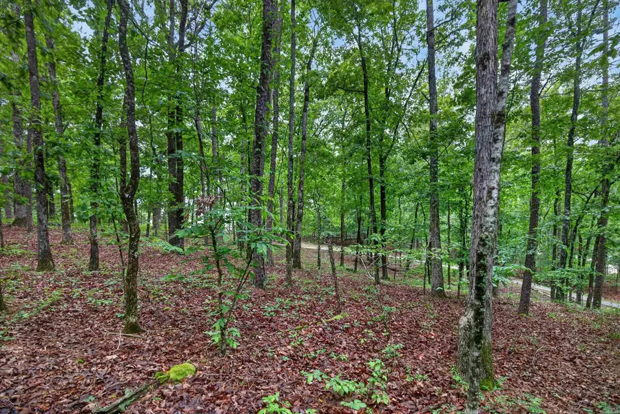 38 Belleza Trace, Hot Springs Village, AR 71909 - #2