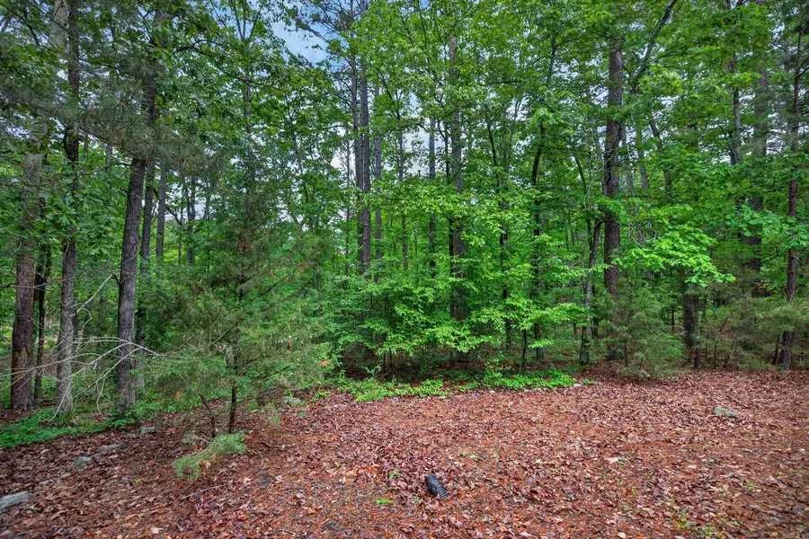 38 Belleza Trace, Hot Springs Village, AR 71909 - #3