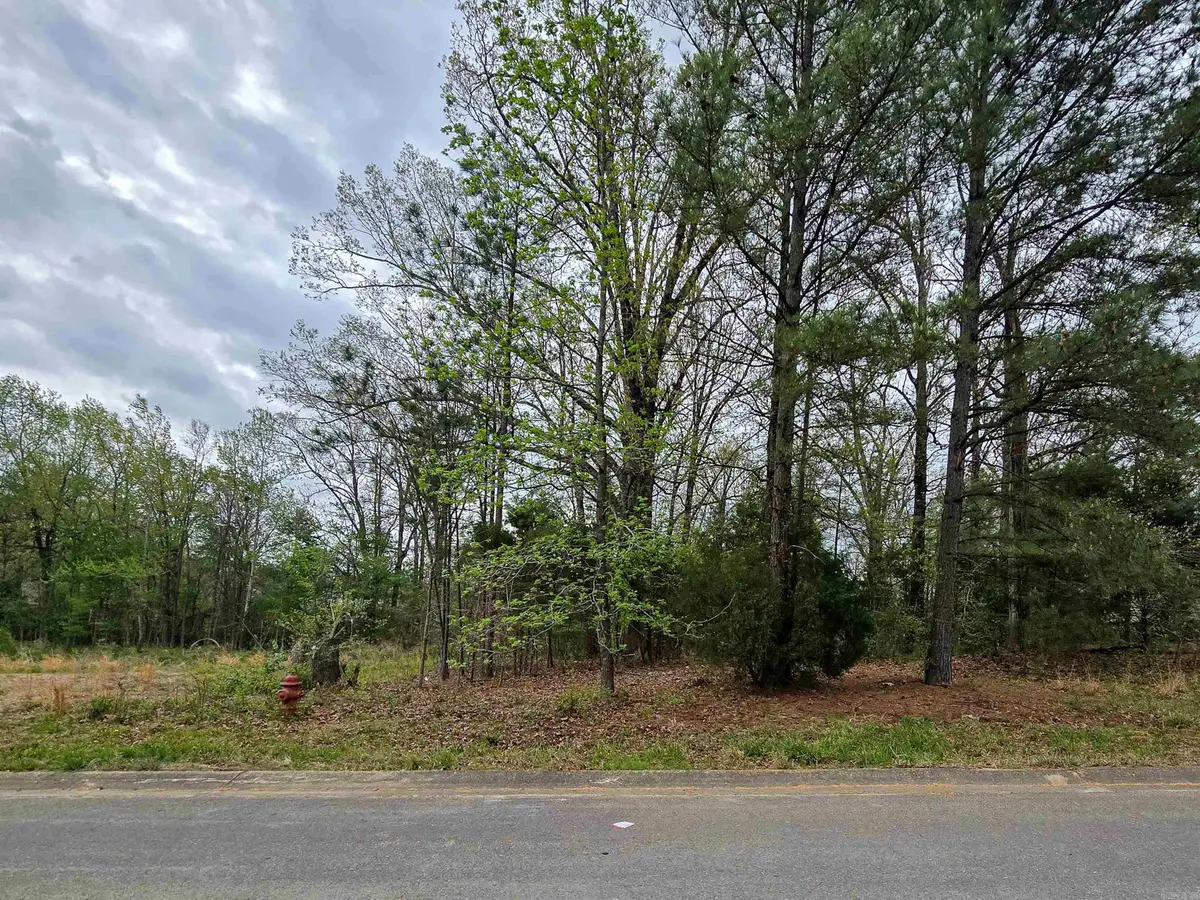Lot 3 Blck B Alex Dr Drive, Jonesboro, AR 72401 - #1
