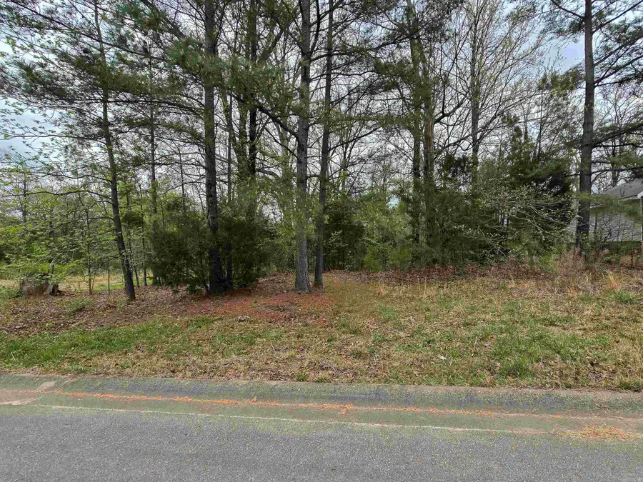 Lot 3 Blck B Alex Dr Drive, Jonesboro, AR 72401 - #2