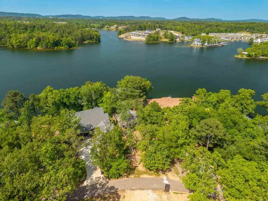 110 Bayview Point, Hot Springs, AR 71901 - #3