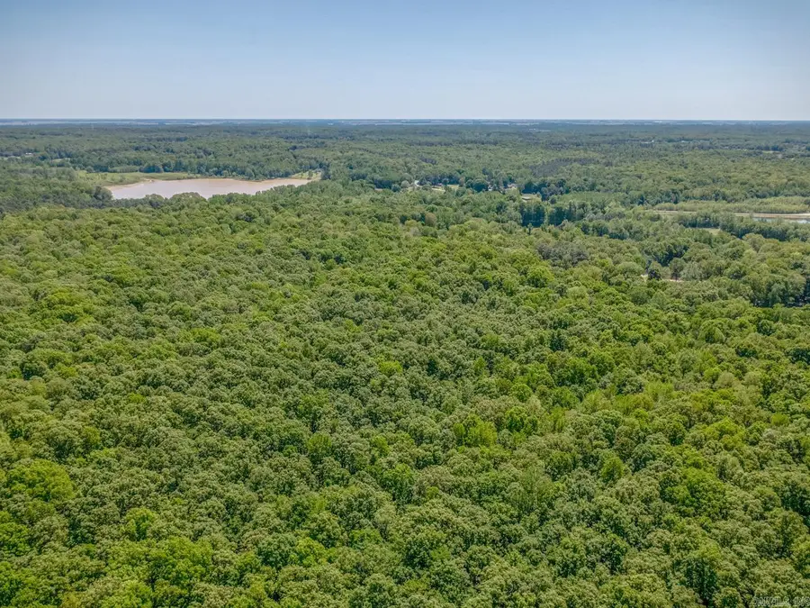 44.18 Acres County Road 780, Jonesboro, AR 72405 - #2