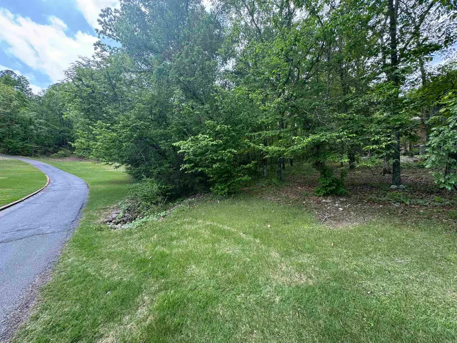 00 Debutar Way, Hot Springs Village, AR 71909 - #3
