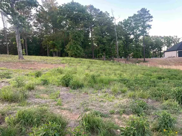 3000 Orchard Crest Drive, Conway, AR 72034