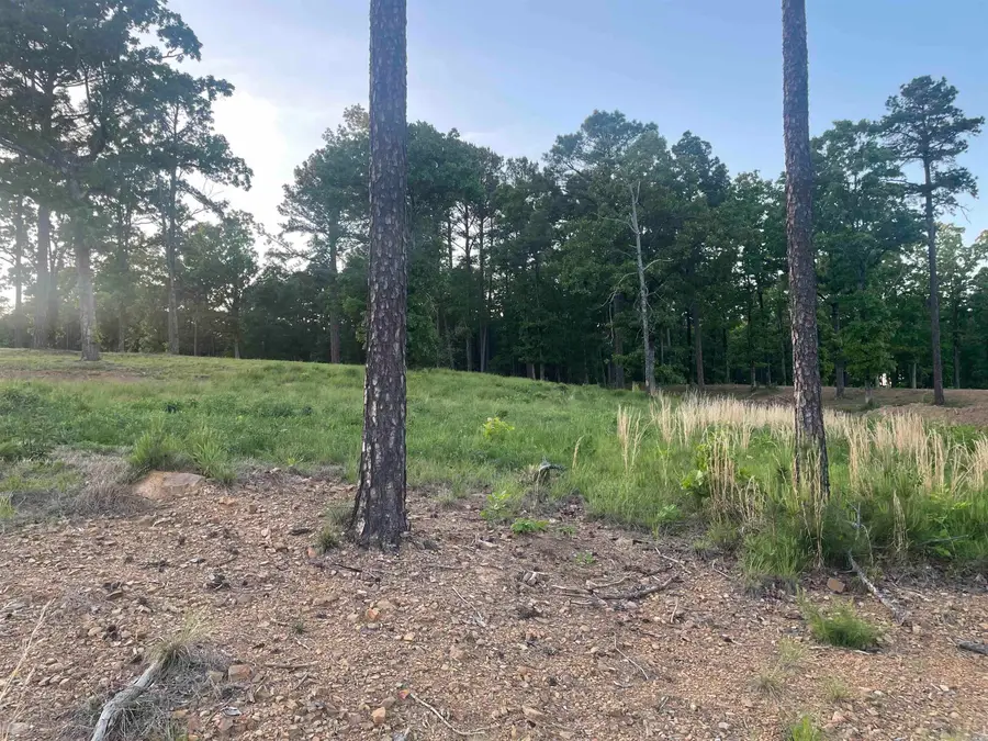 3000 Orchard Crest Drive, Conway, AR 72034 - #2