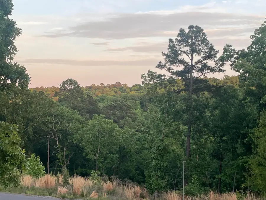 3000 Orchard Crest Drive, Conway, AR 72034 - #3