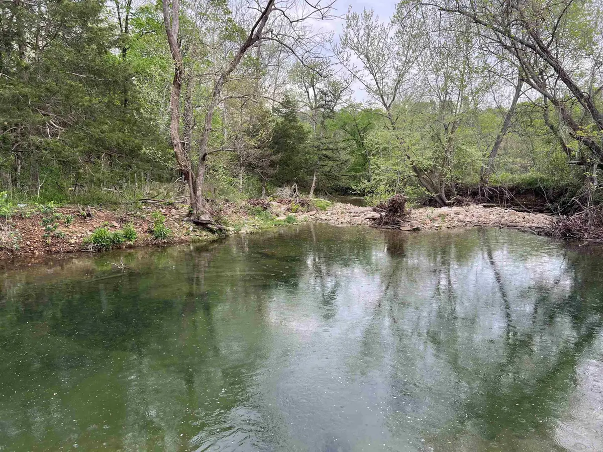 Cedar Grove Road, Lead Hill, AR 72644 - #1