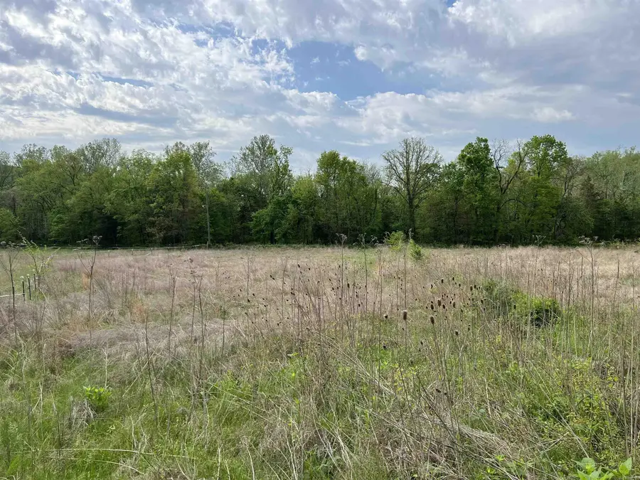 Cedar Grove Road, Lead Hill, AR 72644 - #3