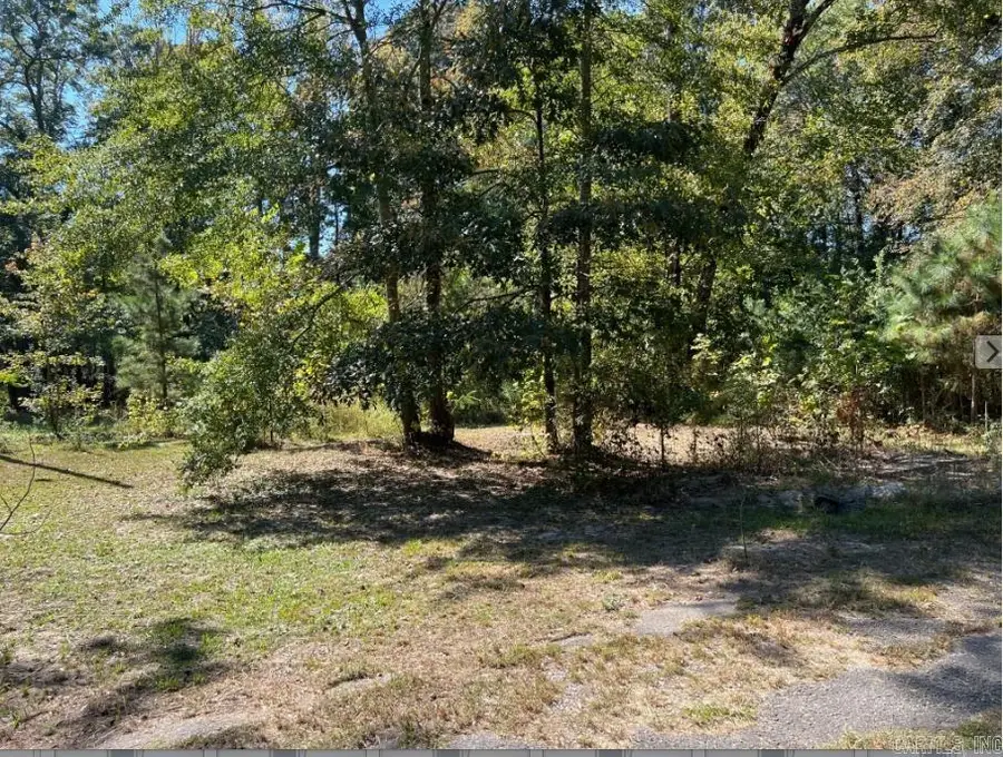 7801 Holy Ridge Cutoff, Benton, AR 72015 - #2