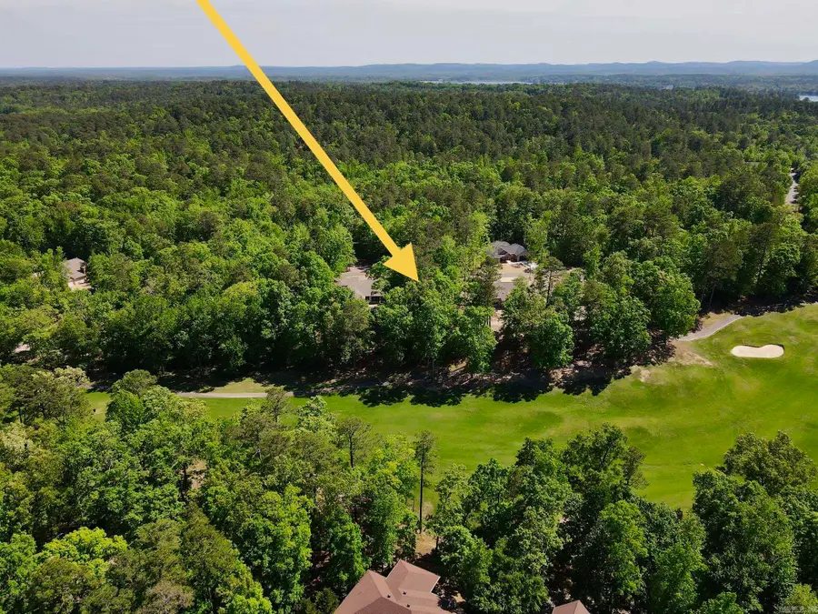 11 Archidona Circle, Hot Springs Village, AR 71909 - #3