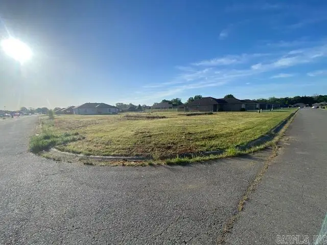 510 Shiloh Drive, Conway, AR 72032 - #3