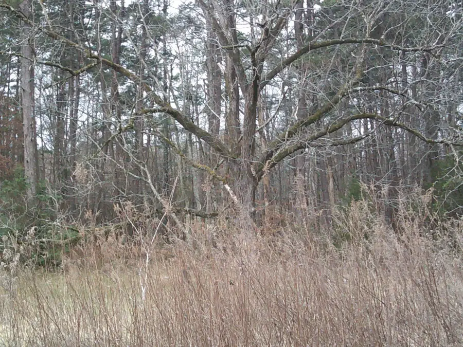 Address Withheld By Seller, Hot Springs, AR 71901 - #2