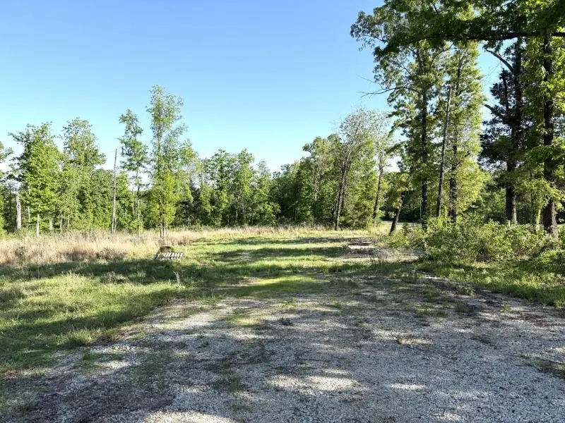 260 Highway 63, Ravenden, AR 72459 - #2