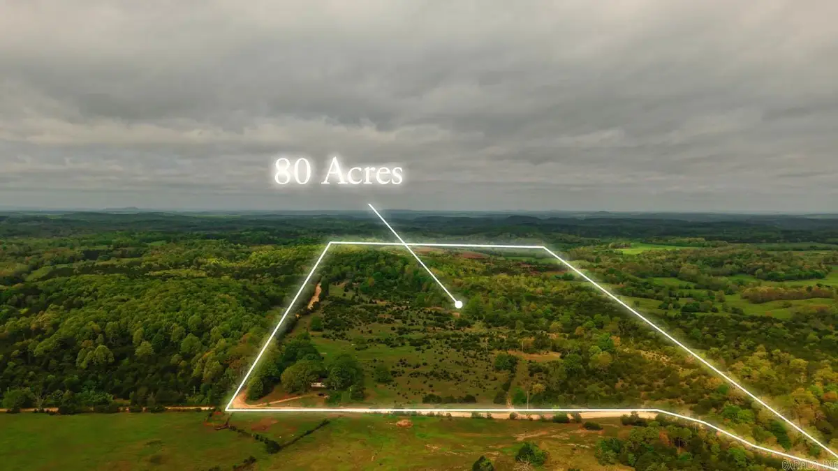 1141 Little Woods Road, Elizabeth, AR 72531 - #1