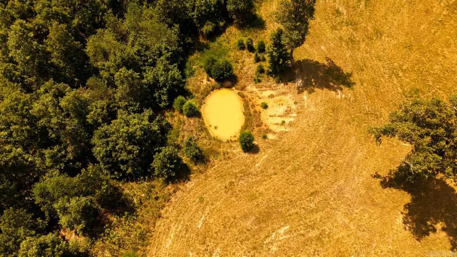 TBD County Road 443, Peace Valley, MO 65483 - #3