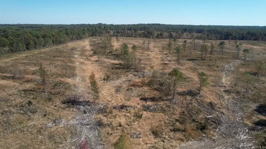 28-9-8 Freedom Rd, Star City, AR 71667 - #2