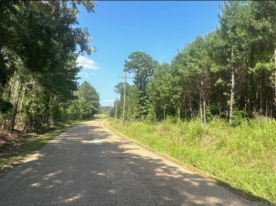 22-17-19 Us Hwy 82, Village, AR 71753 - #1
