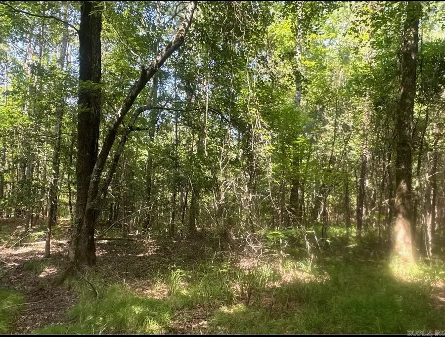 22-17-19 Us Hwy 82, Village, AR 71753 - #3