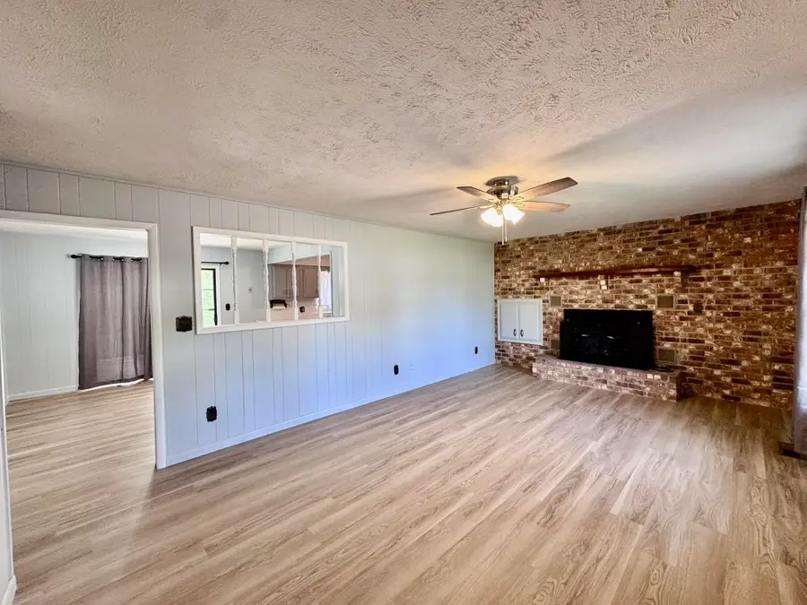 951 Ar 223 Hwy, Pineville, AR 72566 - #3