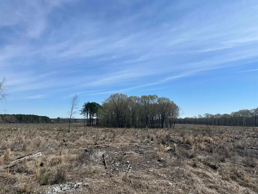 19-14-6 Drew Cr 36, Monticello, AR 71655 - #2