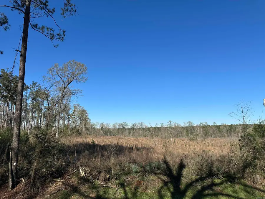 5-13-10 N Bradley Cr 7, Warren, AR 71671 - #3