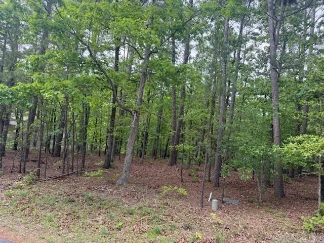 33 Cresta Way, Hot Springs Village, AR 71909 - #2