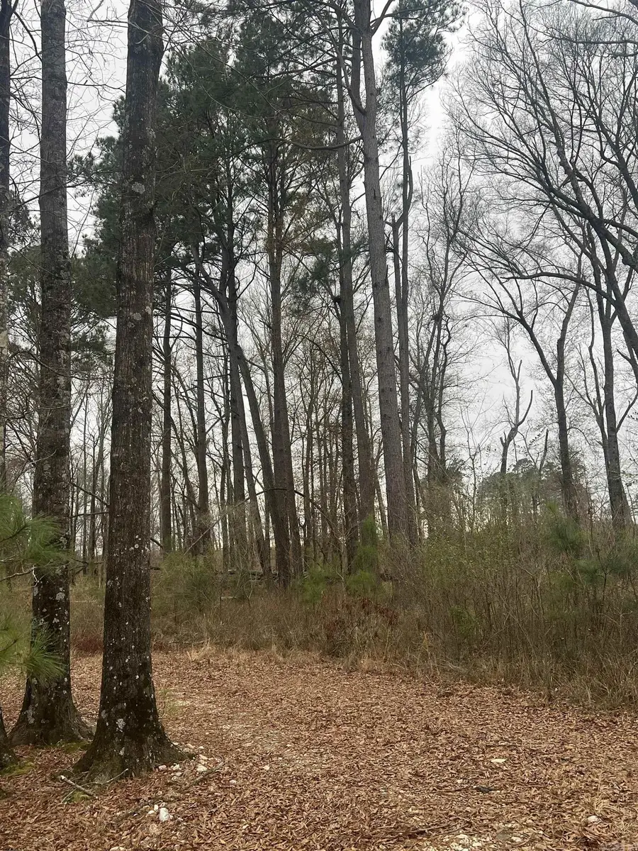 34n33-16-21 Us Highway 82, Magnolia, AR 71753 - #2