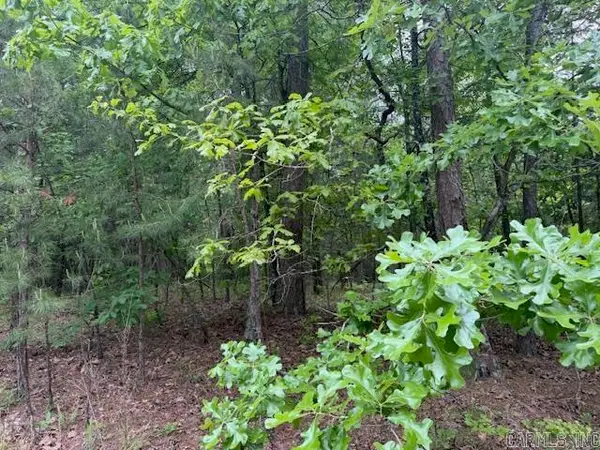 28 Brillante Lane, Hot Springs Village, AR 71909