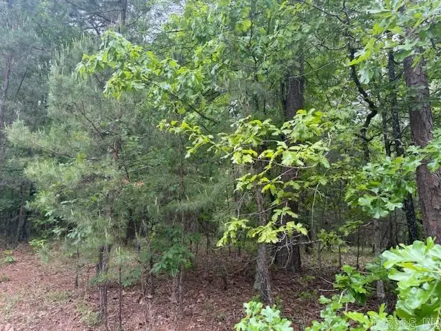 28 Brillante Lane, Hot Springs Village, AR 71909 - #2