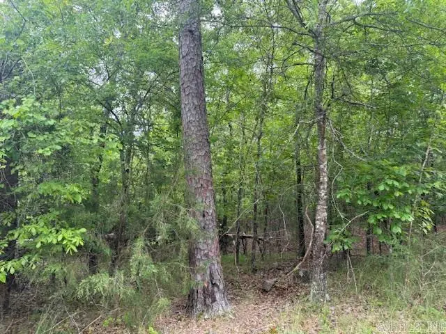 46 Campeon Way, Hot Springs Village, AR 71909 - #1